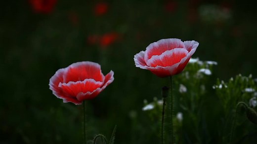 #newmusic #song #lyrics #spotify