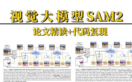 视觉大模型SAM2.0，分割一切！从环境配置到本地部署！从论文精读到代码复现！真的通俗易懂！（人工智能、深度学习、机器学习、神经网络）