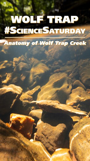 On today’s #ScienceSaturday episode, Ranger Turk discusses the...