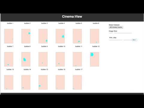 IEEE/ACM SuperComputing SciVis 2022: Visualization of MFIX-Exa Data for Chemical Looping Combustion
