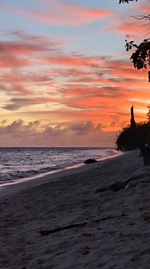 2.4K reactions · 154 shares | The magic of sunrise during turtle nesting season ✨ ️: instagram.com/charlieunderwater | Heron Island | Facebook