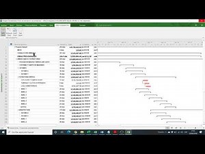 CREAR UN WBS/EDT EN WBS SCHEDULE PRO