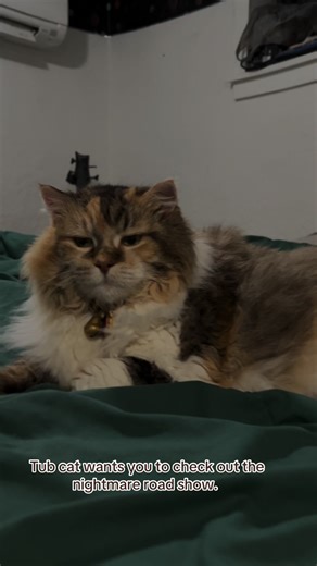 Don’t disappoint tub cat, come check out the nightmare road show on YouTube. @Nightmare Road Podcast @Pocatello Paranormal Research @dkon @messyjessy56 @ASHtheoracle @Sunny11 #paranormaltiktok #conspiracytiktok #