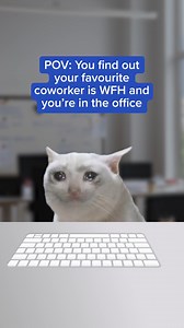 Heart breaking.​ #WorkBestie #WFH #OfficeLife | Indeed