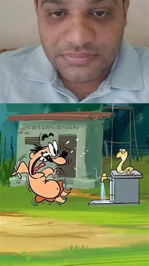 Funny snake moments that will make you laugh out loud