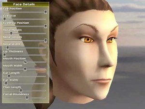 Facial customization with morphtargets