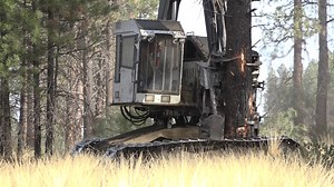 ODOT begins clearing trees for Highway 97 widening project south of Sunriver