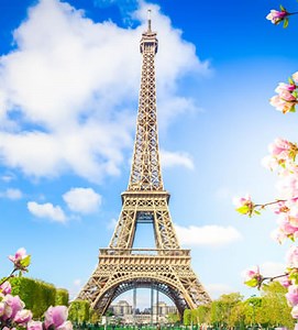 France | Activity Ideas for Seniors & the Elderly