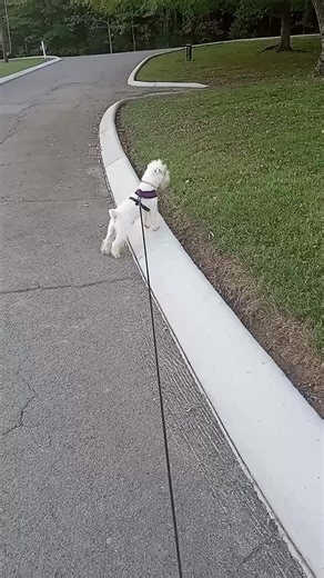 "Abraham, Martin & John" is a 1968 song by Dion that serves as a tribute to four American figures who were assassinated and symbolized social change: Abraham Lincoln, Martin Luther King Jr, John F. Kennedy and Robert Kennedy. As a little boy in the seventies, my sister had this classic on a 45 record and I'd play it over and over not knowing the true meaning of such an incredible hit Happy Tuesday! | Greg Sparks