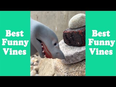 Shark Puppet Funny Tik Tok 2023