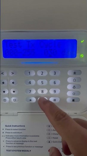 DSC NEO weekly timer test programming