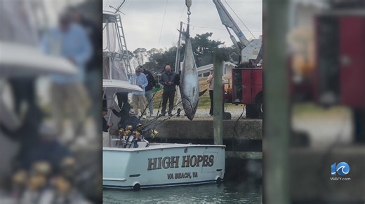 Reel big! VB angler catches 832-pound bluefin tuna