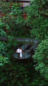 2.8K views · 40 reactions | City charm meets rainforest magic ✨...