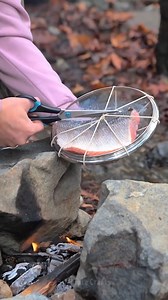 Cool Camping Cooking Tips | 5-Minute Crafts Green