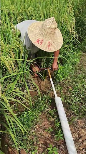 DIY PVC Siphon Manual Water Pump: Easy Farming!