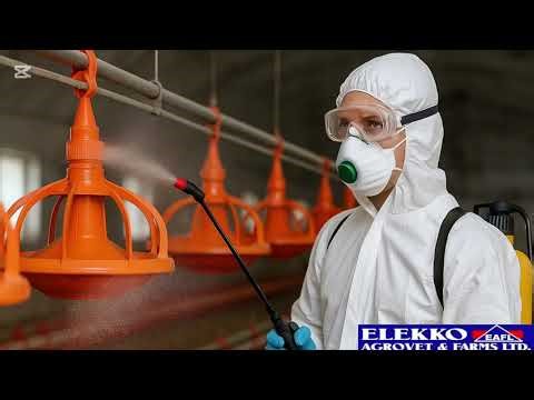 Biosecurity Measures in Poultry Farming