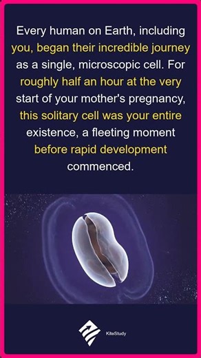 You Started As ONE Cell! | Human Origin Shock
