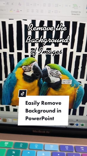Powerpoint Background Removal Tutorial