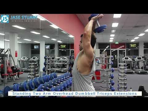 Standing Two Arm Overhead Dumbbell Triceps Extensions