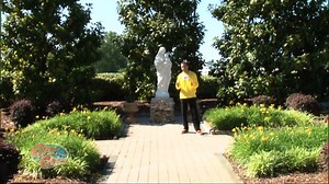 Celebrating Mary: Learning About Our Blessed Mother - Season 1 - Formed