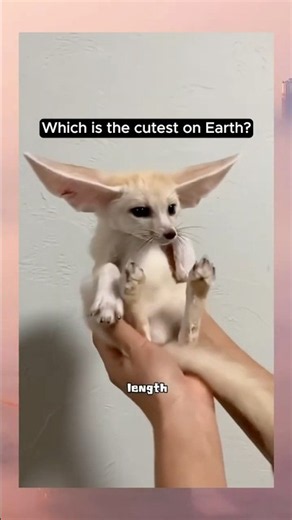 This is an impossible decision