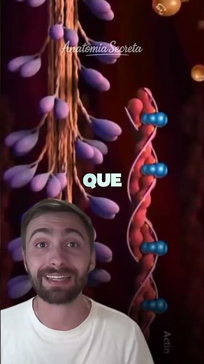 💥 Así es una CONTRACCIÓN MUSCULAR paso a paso.