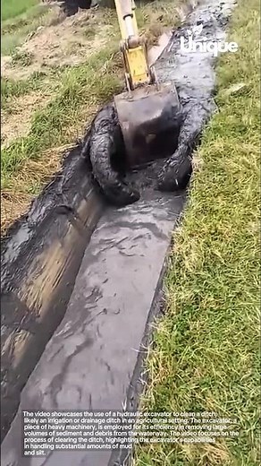 Preventing flooding: clearing a ditch with heavy machinery