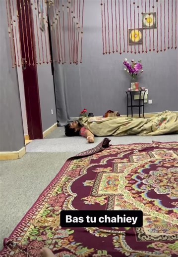 Exploring the Marlboro Cigarette Pack Design