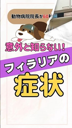 【知らないで予防してるの⁉️】かかるとこうなる！フィラリア症の症状を獣医師が解説#動物病院 #獣医師