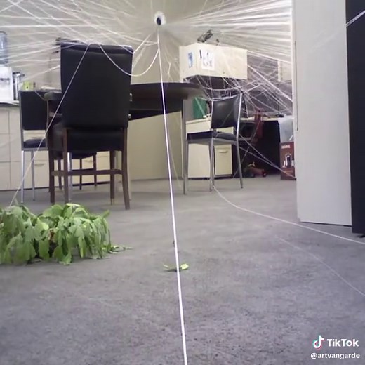Kinetic Entropy Sculptures: Watching Time Visible