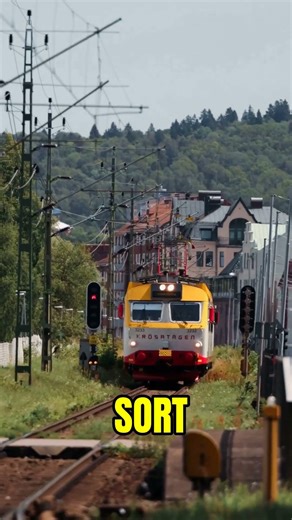 Why Japan Has Almost No Trash Bins #Japan #CleanStreets #Culture