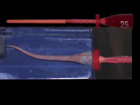 The technique protocol for WaveOne Gold | Dentsply Sirona