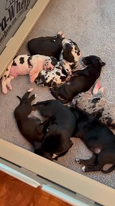 Wes Hampton Fans on Reels