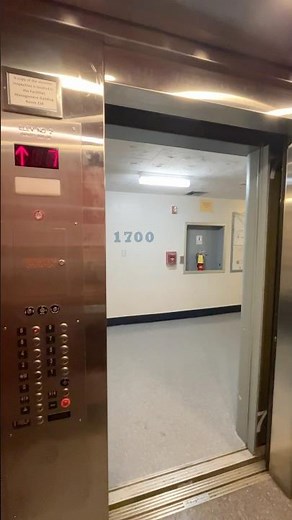 The best elevator music out there