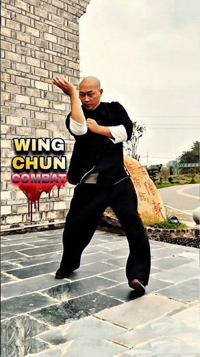 WING CHUN Power Hands - Real Kung Fu Combat Style #wingchun