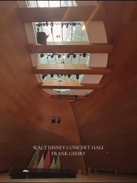 Exploring the Walt Disney Concert Hall Architecture
