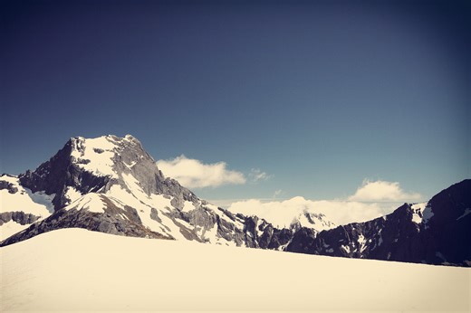 Descargas sistema monica gratis.