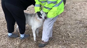 53K views · 1.1K reactions | Good morning from Candler County! Our...