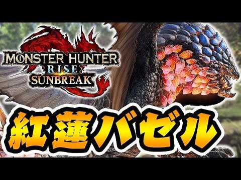 紅蓮滾るバゼルギウスに初見ソロで挑む男【モンハンサンブレイク】