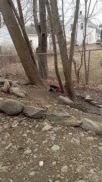 rc4wd winch time finally doing a recovery for someone but myself 👍