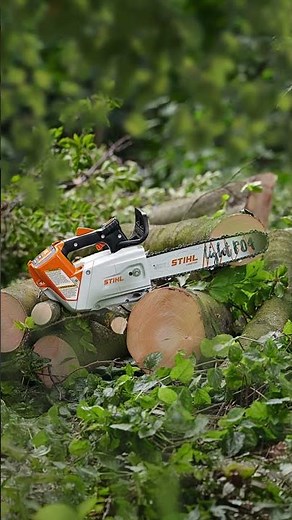 🔥 OFFRE SPÉCIALE ! 🔥