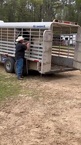 Been working with the Appaloosa colt, got him where he will lead a little. What should I do next? All help appreciated! | Lee Weatherford