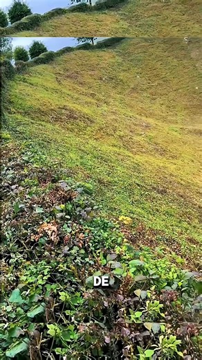 44K views · 371 reactions | En 1916, bien avant la création de la bombe atomique, une explosion de 27 000 kg d’explosifs a détruit en un instant plus de 10 000 soldats allemands. L’explosion, menée par la Grande-Bretagne, a creusé un cratère de 330 pieds de large et 70 pieds de profondeur. | Une Vie Simple | Facebook