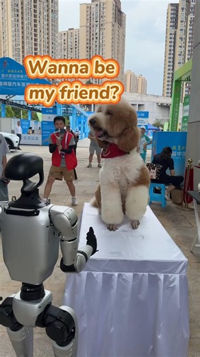 63K views · 300 reactions | When a robot just wants to make friends... This brave bot tried to shake hands with a dog but got snubbed at a vocational skills competition in SW China's Chongqing. #Robot #Dog #Chongqing #China | China Xinhua News | Facebook