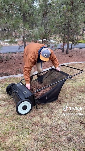 Effortless Yard Cleanup with Lawn Sweepers