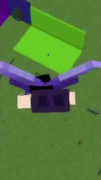 Best Enchants For A Elytra In Minecraft - Shorts