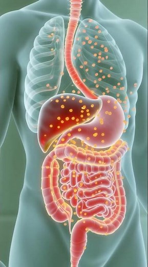 CHS Explained: Why Cannabis Can Suddenly Make You Sick