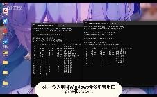ping和tracert
