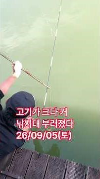 낚시대 부러졋다 끌려간다 #향어낚시 #향어 #향어채비 #대물채비 #대물낚시대 #대물대 #대명낚시터 #메기낚시 #메기채비 메기낚시터 #붕어낚시대 #향붕어 #향붕어입질 #토종붕어