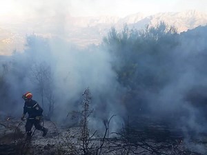 VIDÉO. Algérie : les images d’un gigantesque incendie vues du ciel